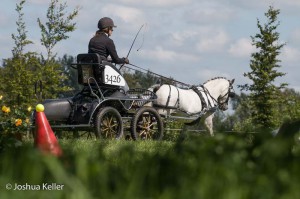 dressuur en vaardigheid  nienoord 10-8-2015  joshua keller-0469        